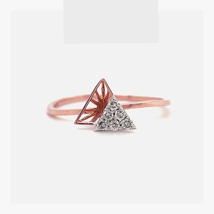 Triangle ring made of silver with labrador – buy at Poison Drop online  store, SKU 35976.